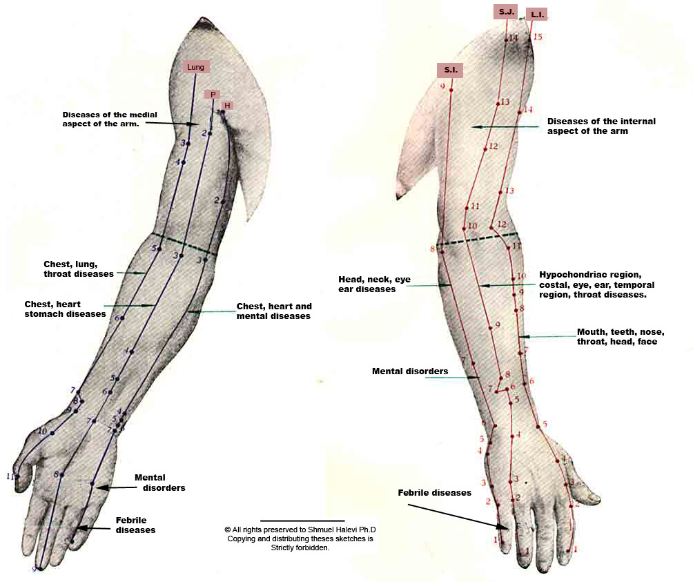 Chart Arm